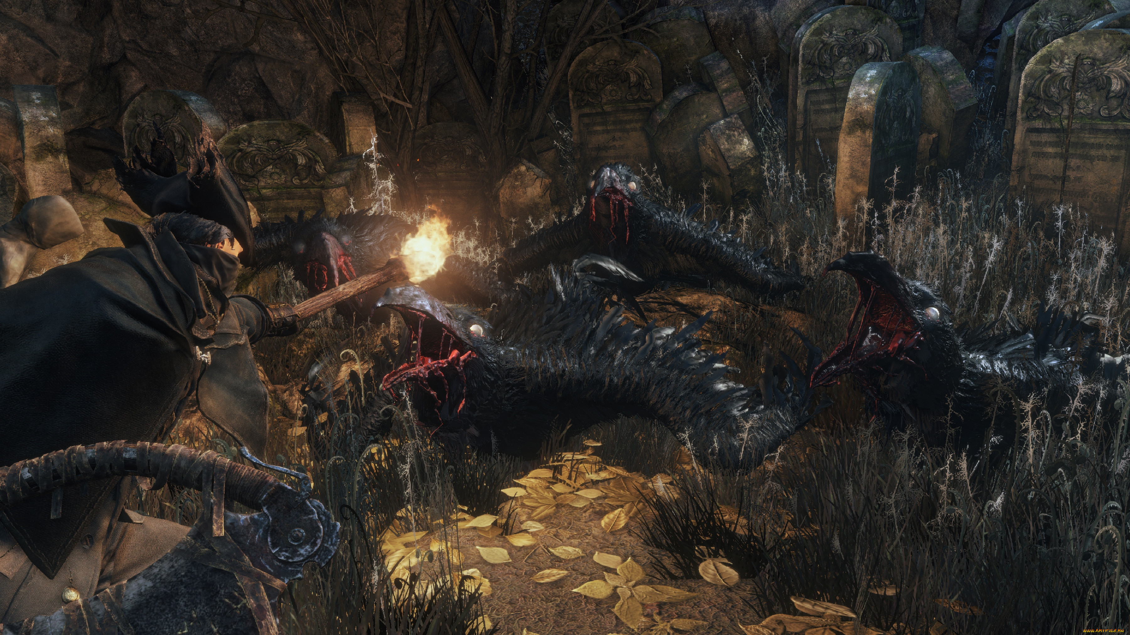  , bloodborne, , , , , 